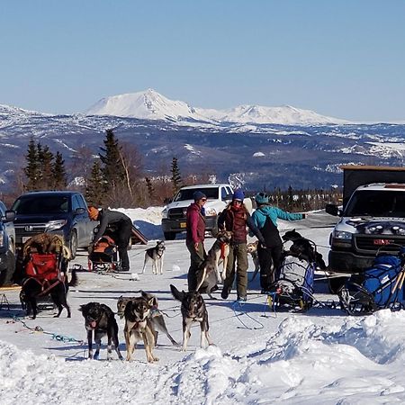 Denali Wild Stay - Bear Cabin With Hot Tub And Free Wifi, Private, Sleep 6 希利 外观 照片