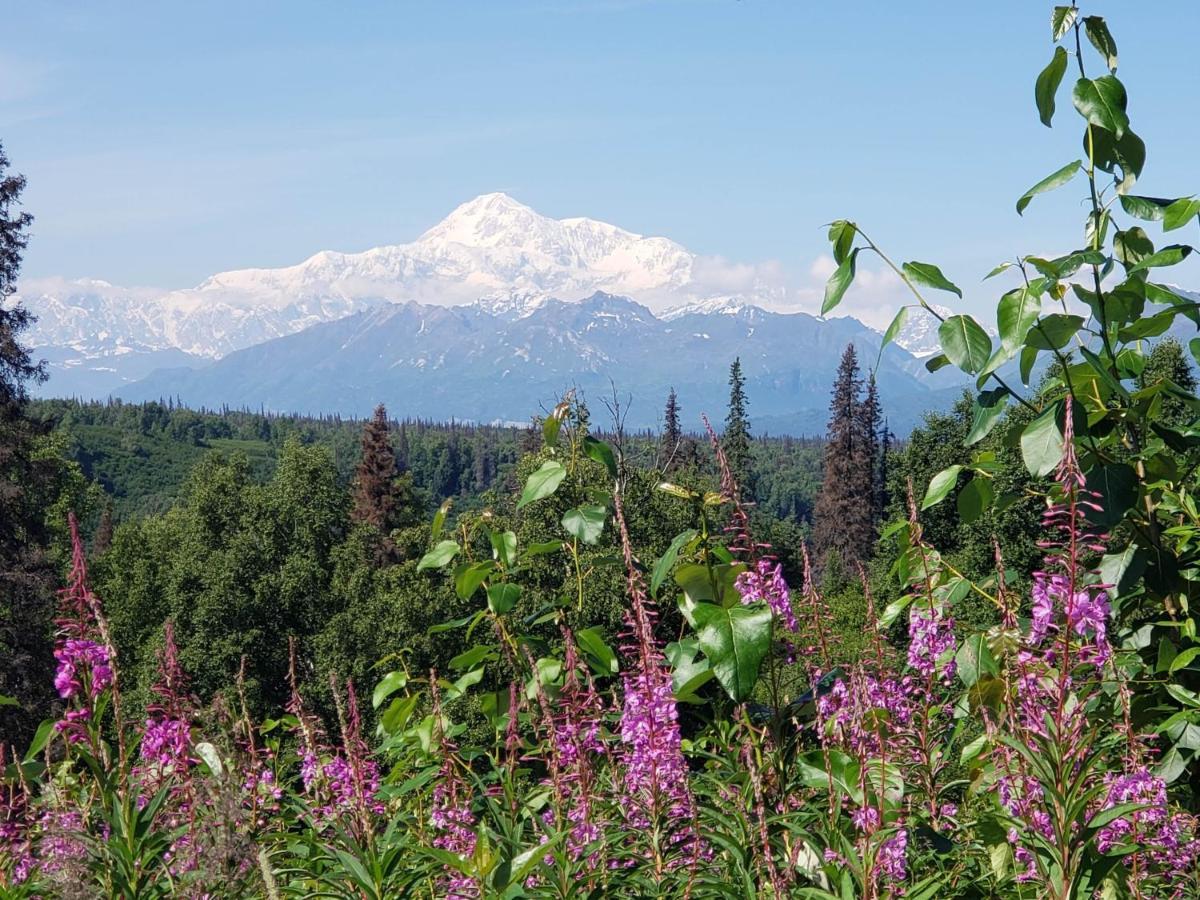 Denali Wild Stay - Bear Cabin With Hot Tub And Free Wifi, Private, Sleep 6 希利 外观 照片