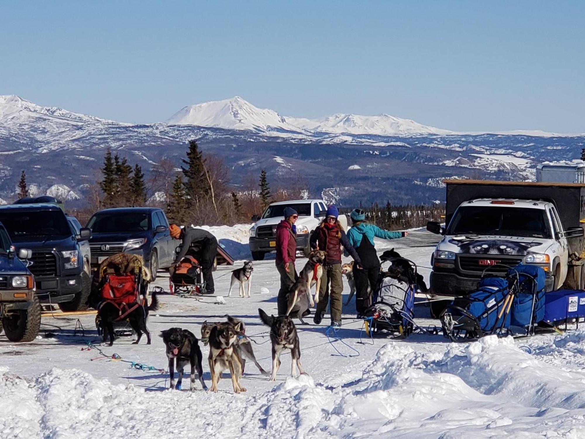 Denali Wild Stay - Bear Cabin With Hot Tub And Free Wifi, Private, Sleep 6 希利 外观 照片