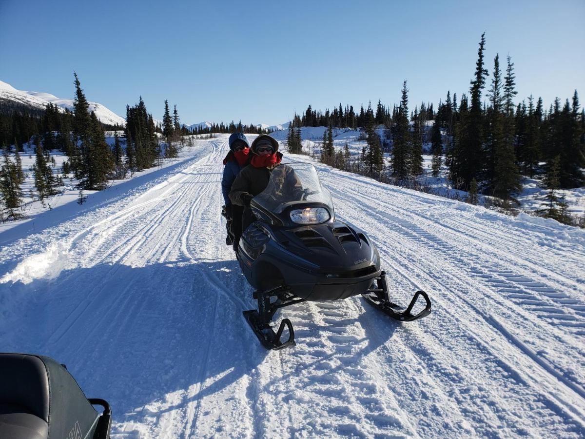 Denali Wild Stay - Bear Cabin With Hot Tub And Free Wifi, Private, Sleep 6 希利 外观 照片