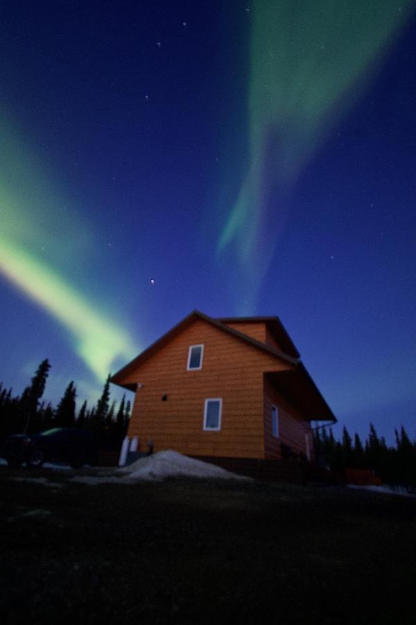 Denali Wild Stay - Bear Cabin With Hot Tub And Free Wifi, Private, Sleep 6 希利 外观 照片