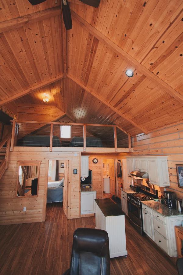 Denali Wild Stay - Bear Cabin With Hot Tub And Free Wifi, Private, Sleep 6 希利 外观 照片