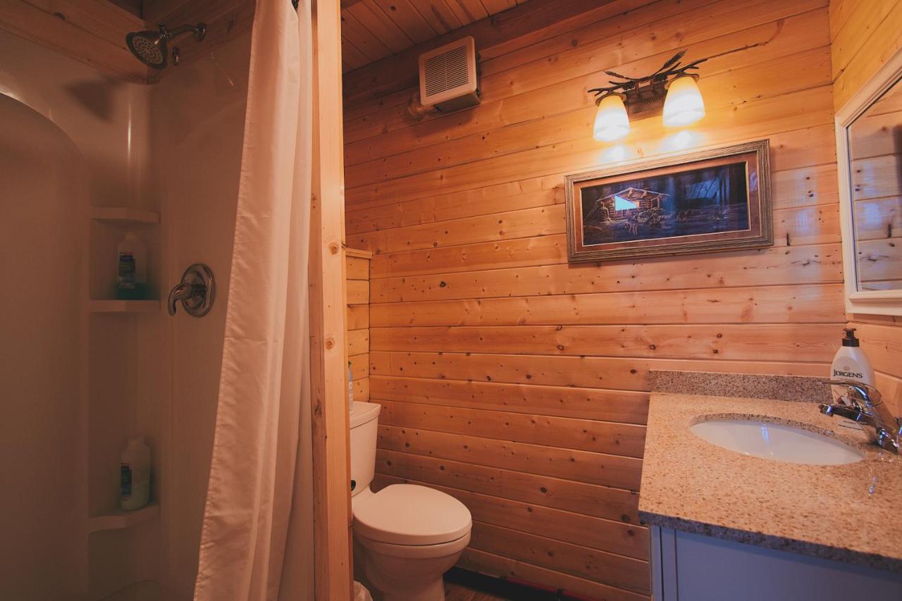 Denali Wild Stay - Bear Cabin With Hot Tub And Free Wifi, Private, Sleep 6 希利 外观 照片