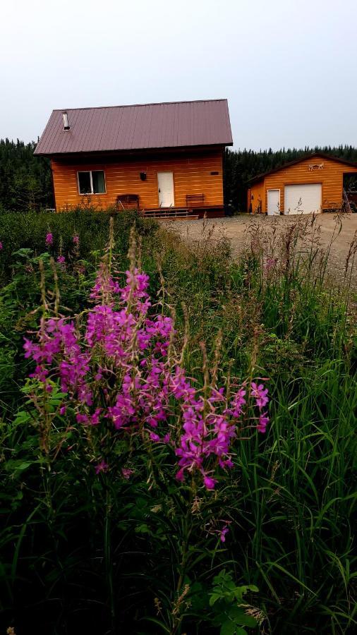 Denali Wild Stay - Bear Cabin With Hot Tub And Free Wifi, Private, Sleep 6 希利 外观 照片